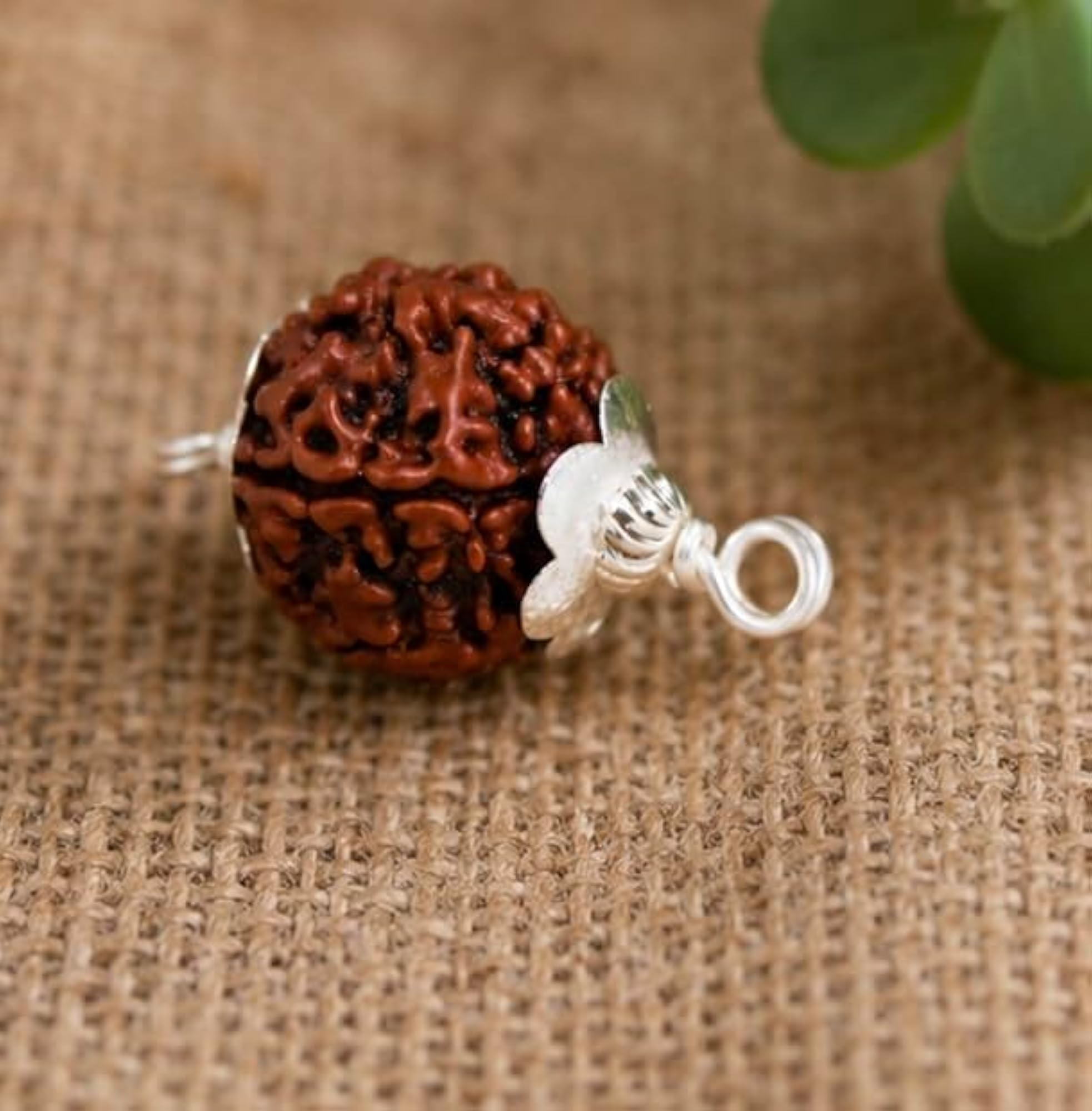 Original 6 Mukhi Rudraksha Pendant, Spiritual Gift